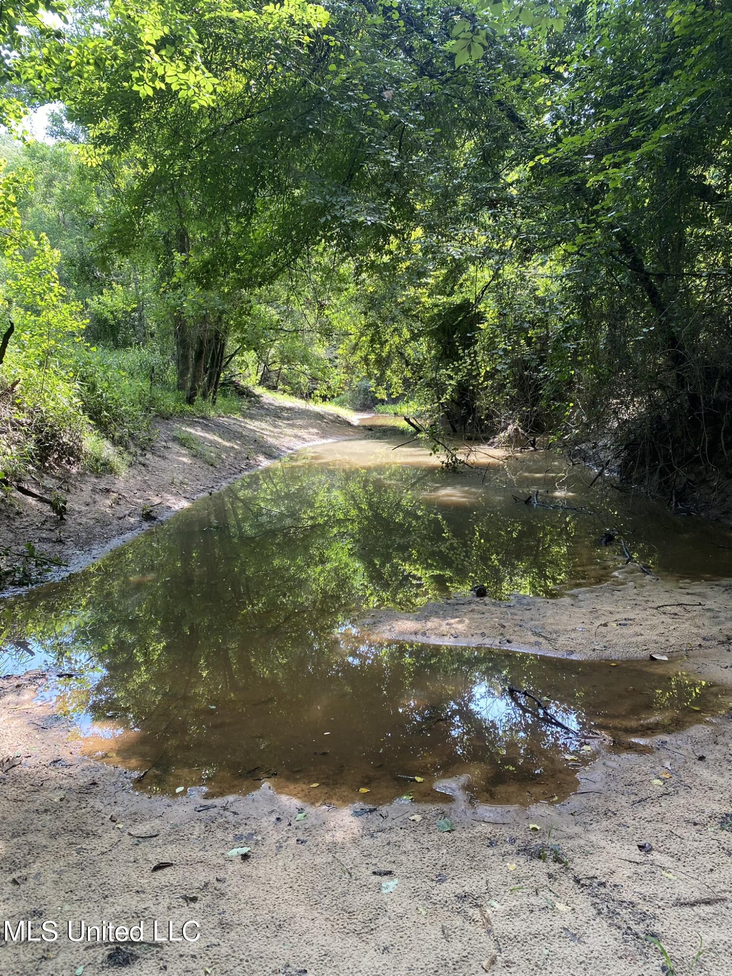 00 Hwy 28, Mize, Mississippi image 9