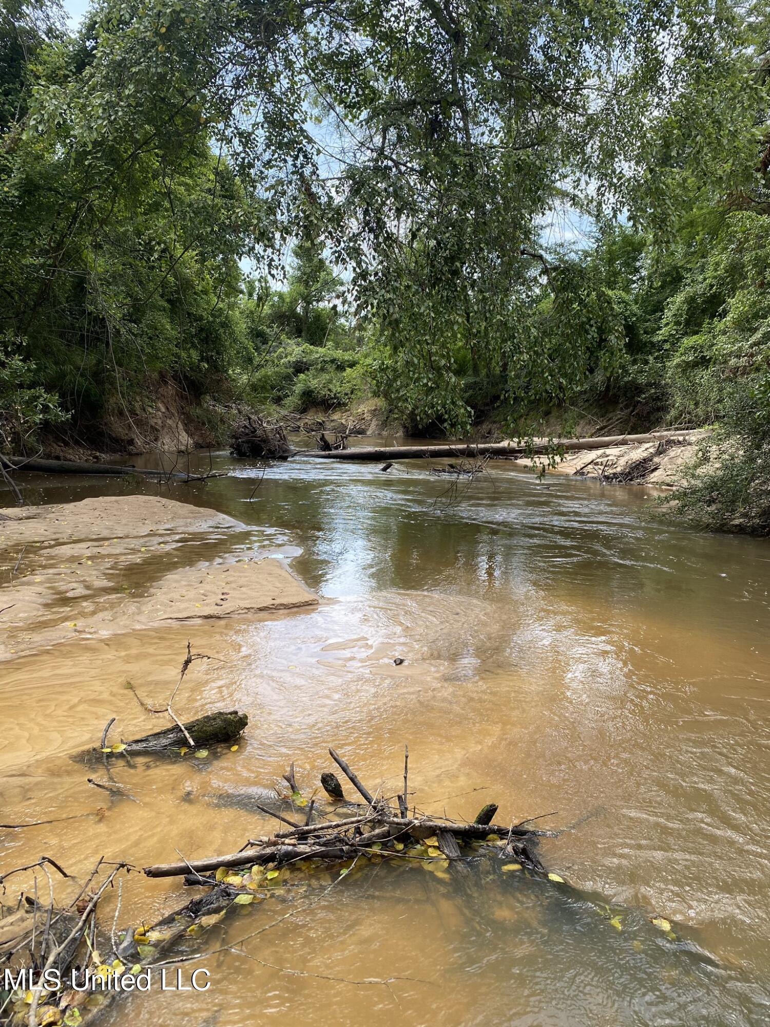 00 Hwy 28, Mize, Mississippi image 10