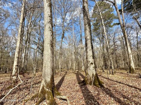 Vacant Land For Sale - 1 Evans Road<br/> Leake County, Carthage, MS 39051