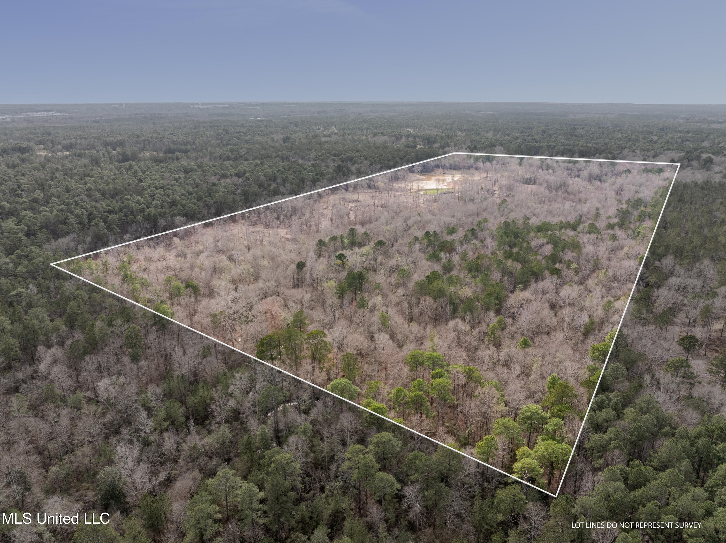 80 +/- Acres N Beverly Hills Road, Hattiesburg, Mississippi image 4