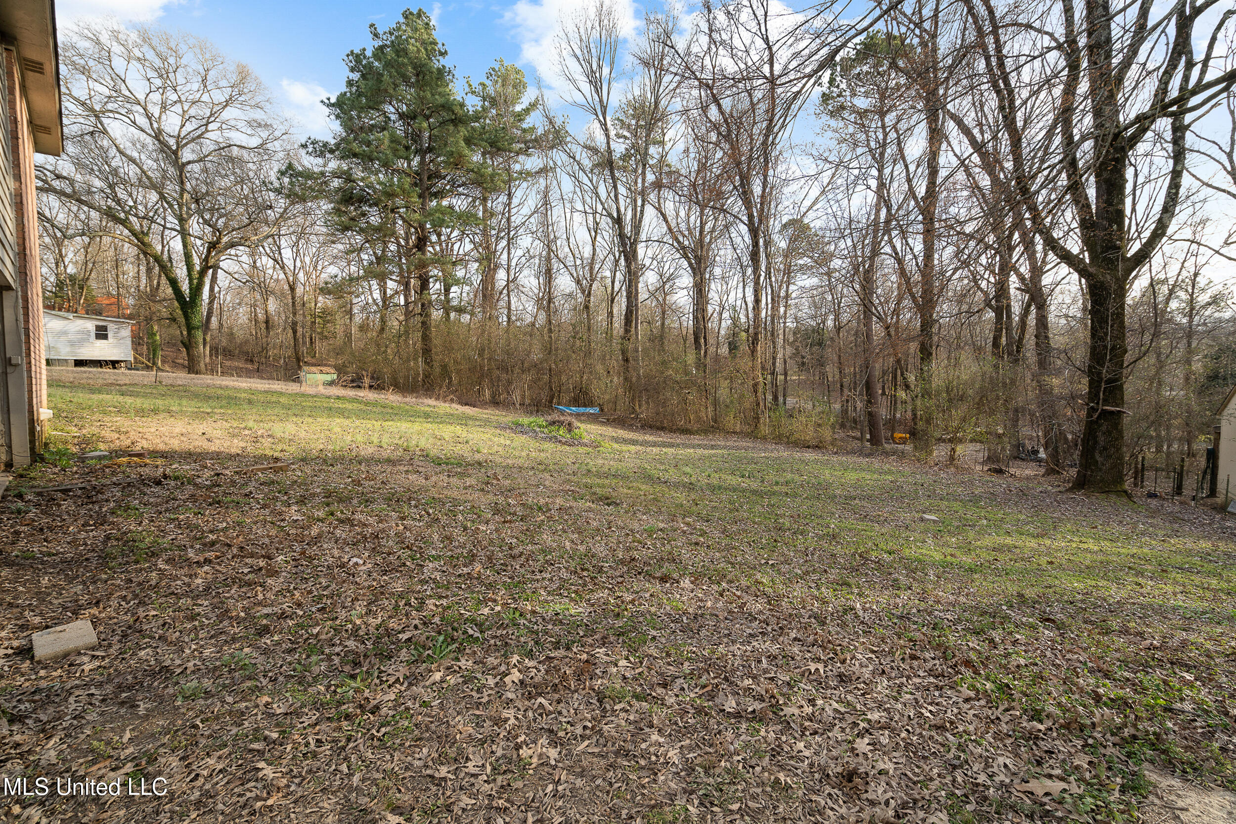 703 Black Hawk Drive, Hernando, Mississippi image 7