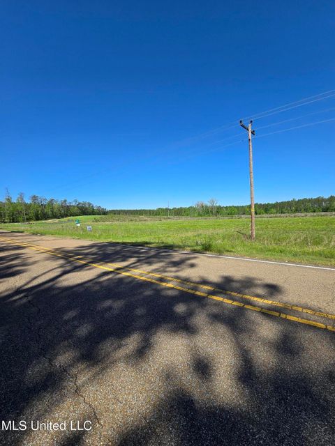 Vacant Land For Sale - Coal Bluff Road<br/> Lena, MS 39094