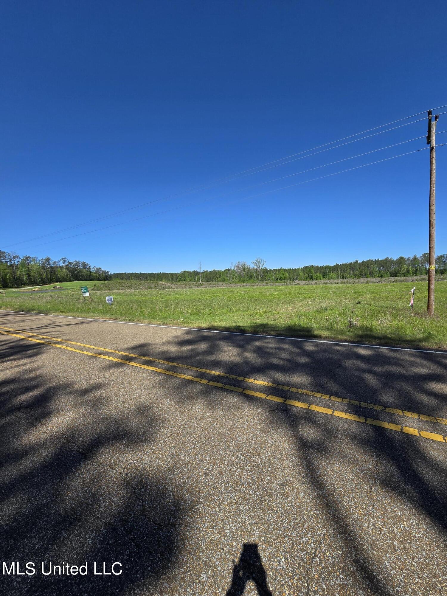 Coal Bluff Road, Lena, Mississippi image 4