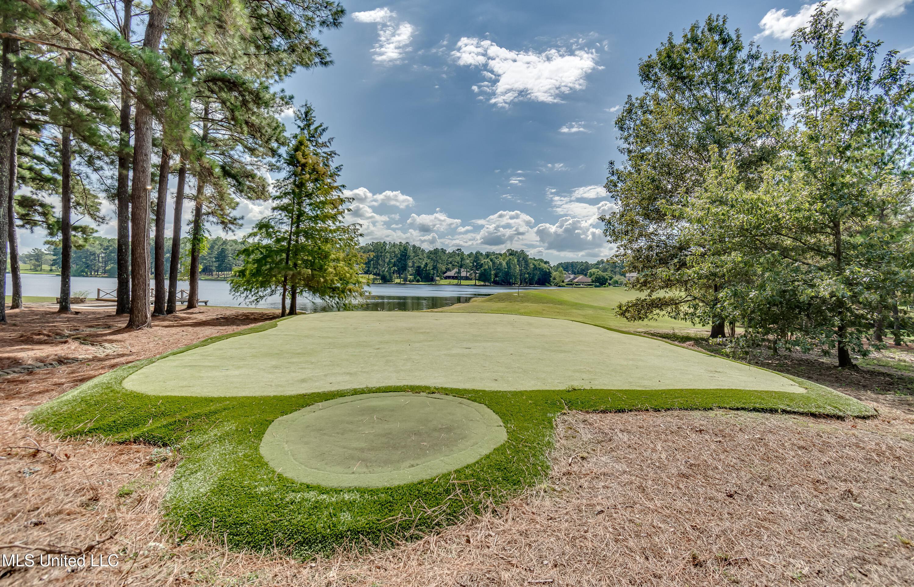 Madison, Mississippi 39110, United States, 5 Bedrooms Bedrooms, ,6 BathroomsBathrooms,Residential,Active,218412