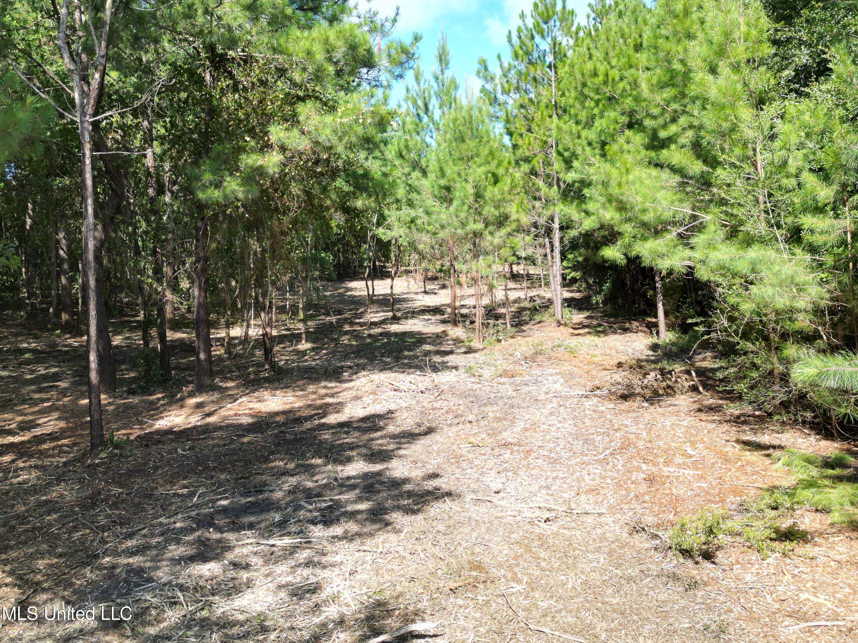 6075 Forrest H Necaise Rd Lot 4, Kiln, Mississippi image 2