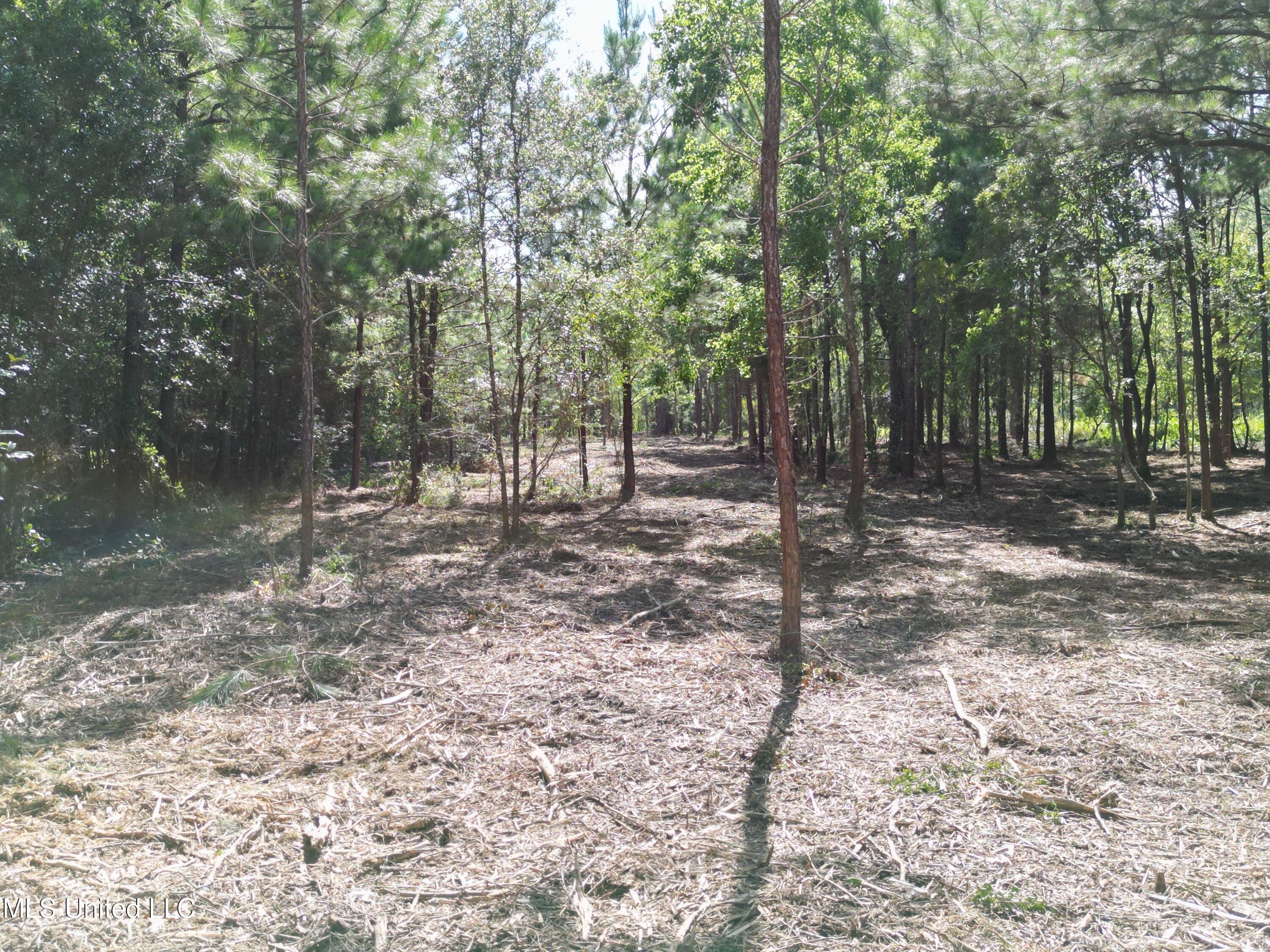 6075 Forrest H Necaise Rd Lot 4, Kiln, Mississippi image 5