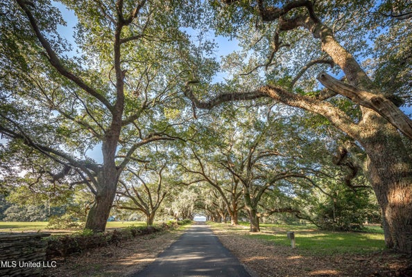 LOT 7 POINTE AUX CHENES, OCEAN SPRINGS, MS 39564 - Image a35e3ecc37563d86b35084e9f2b9b7b4/3824538865