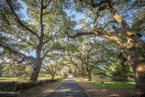 Vacant Land For Sale - LOT 7 Pointe Aux Chenes<br/> Ocean Springs, MS 39564