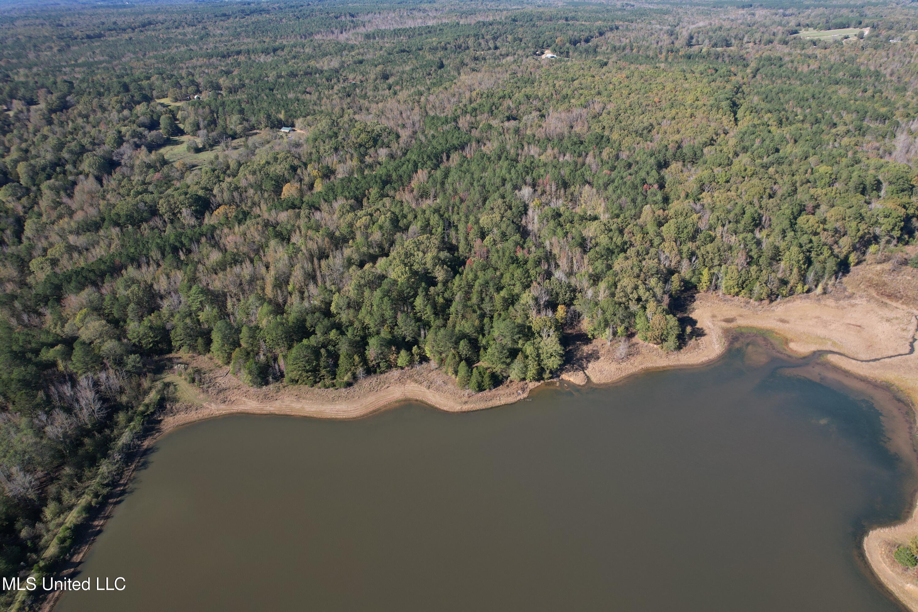 Highway 330, Tillatoba, Mississippi image 18