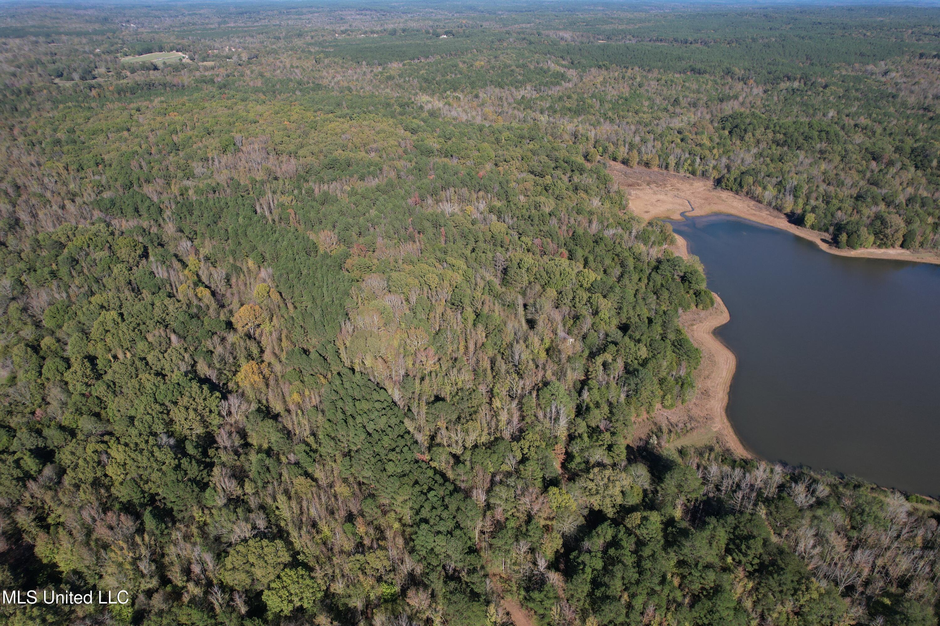 Highway 330, Tillatoba, Mississippi image 13