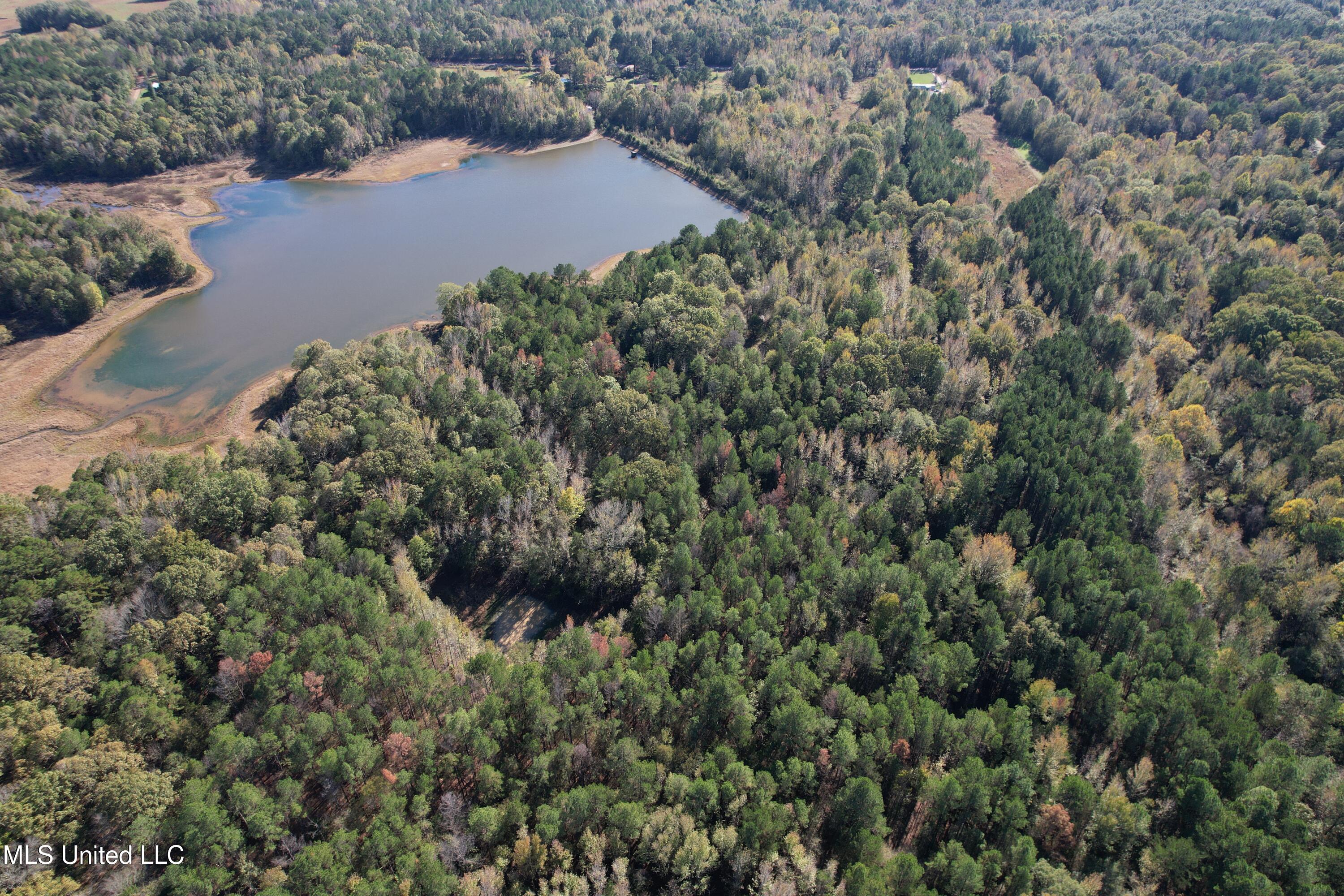 Highway 330, Tillatoba, Mississippi image 11