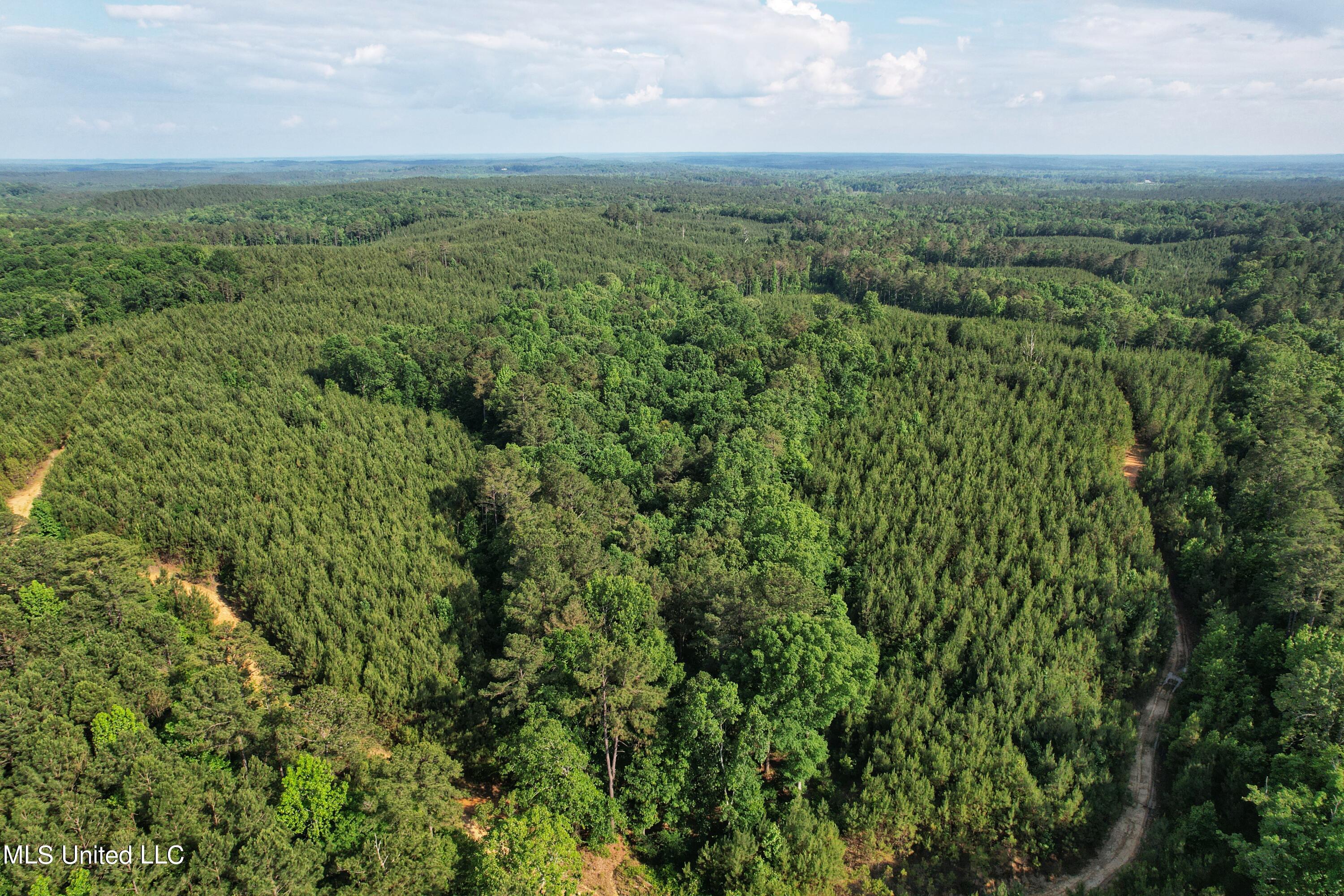 Tom Mans Road Road, Vaiden, Mississippi image 1