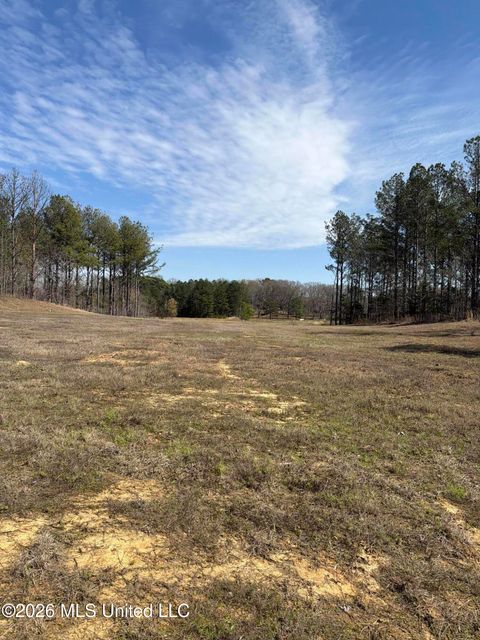 Vacant Land For Sale - 35 Deerwood Drive<br/> Lake Cormorant, MS 38641