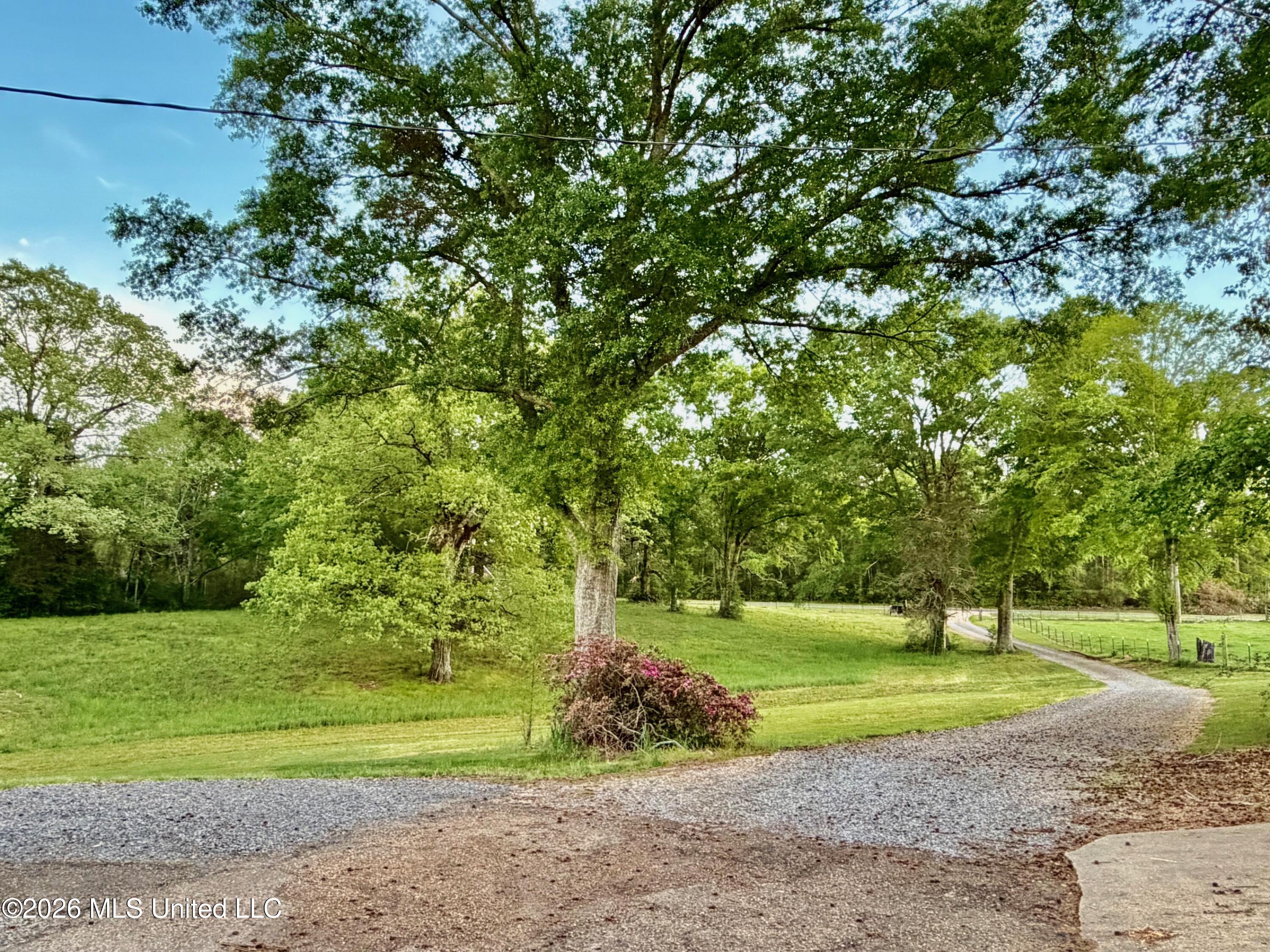 3115 River Ridge Road
