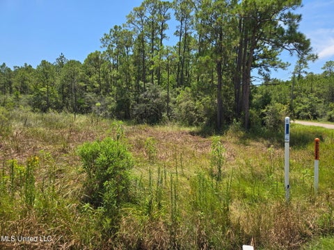 Vacant Land For Sale - Cedar Avenue<br/> Pass Christian, MS 39571