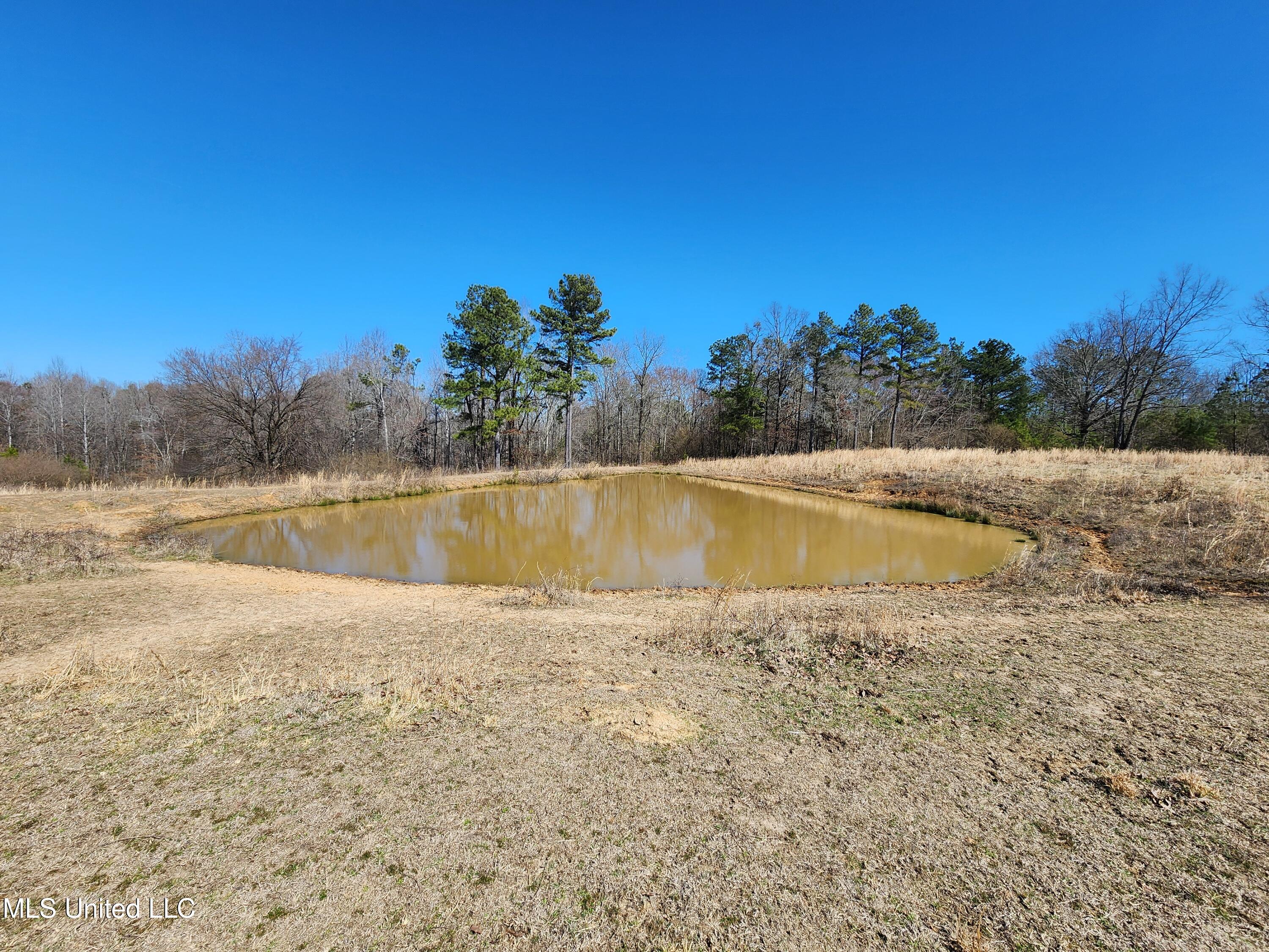 Old Hwy 7 S, Holly Springs, Mississippi image 9