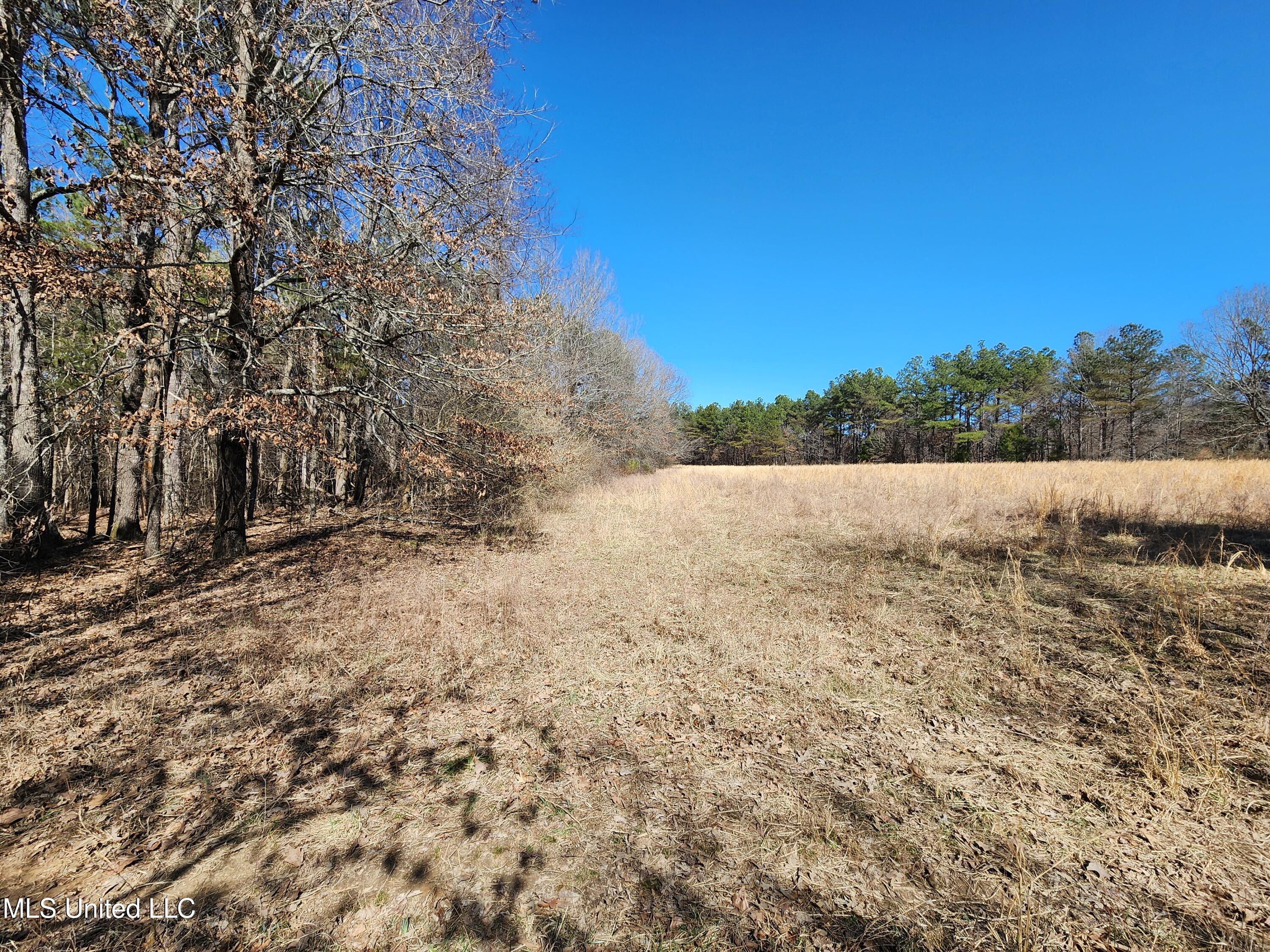 Old Hwy 7 S, Holly Springs, Mississippi image 21