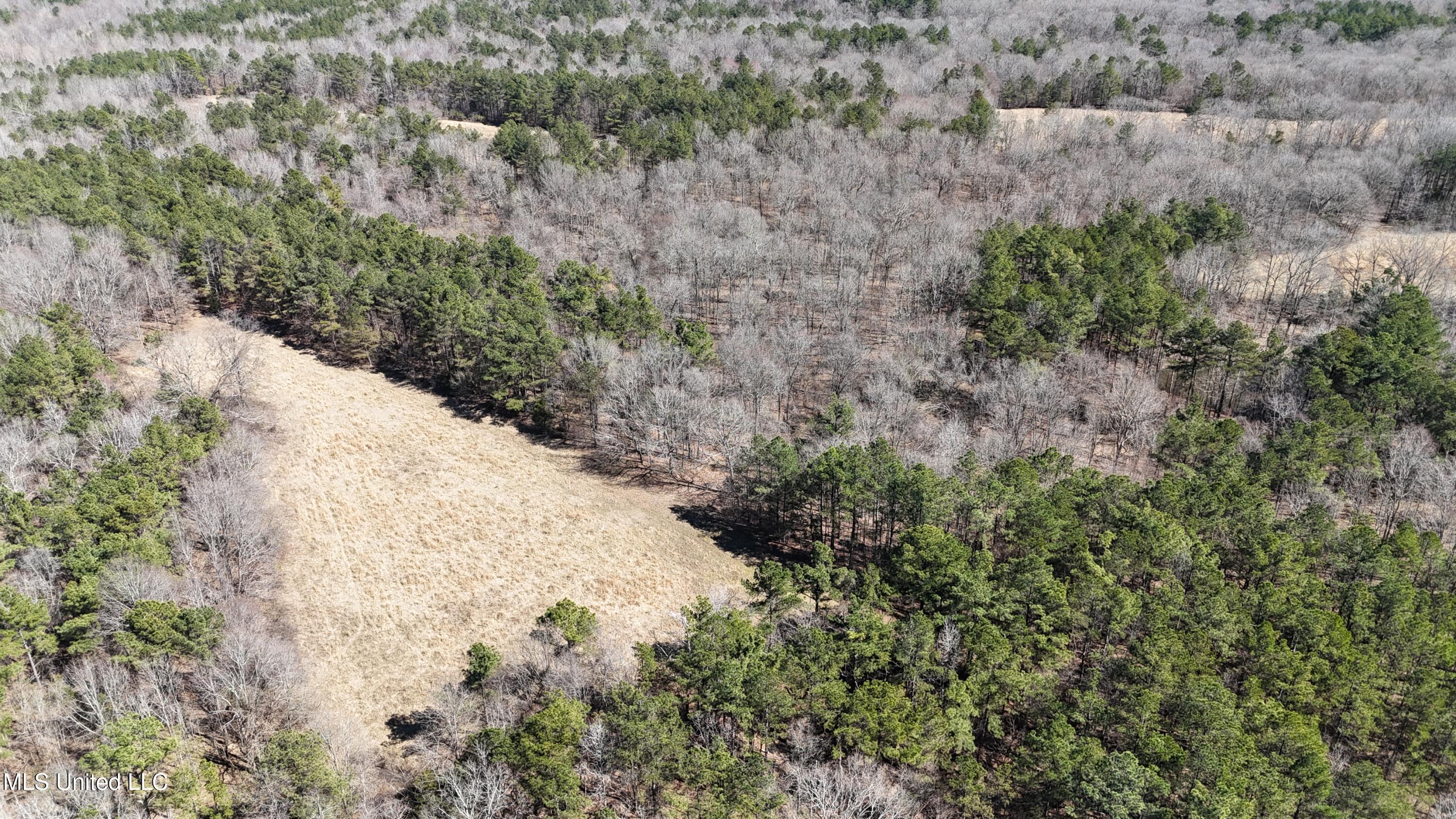 Old Hwy 7 S, Holly Springs, Mississippi image 35