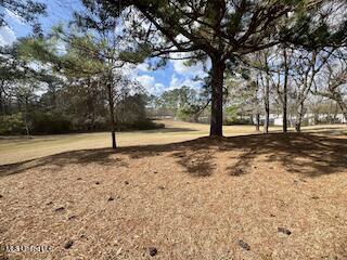 3006 Valley Road, Meridian, Mississippi image 21