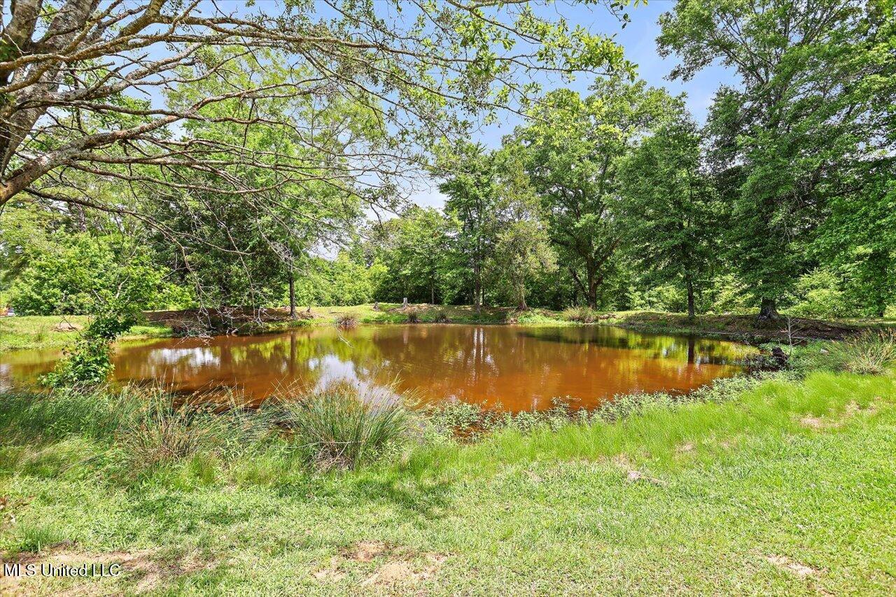 869 B Parks Road, Pickens, Mississippi image 17