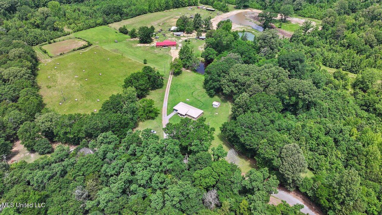 869 B Parks Road, Pickens, Mississippi image 12