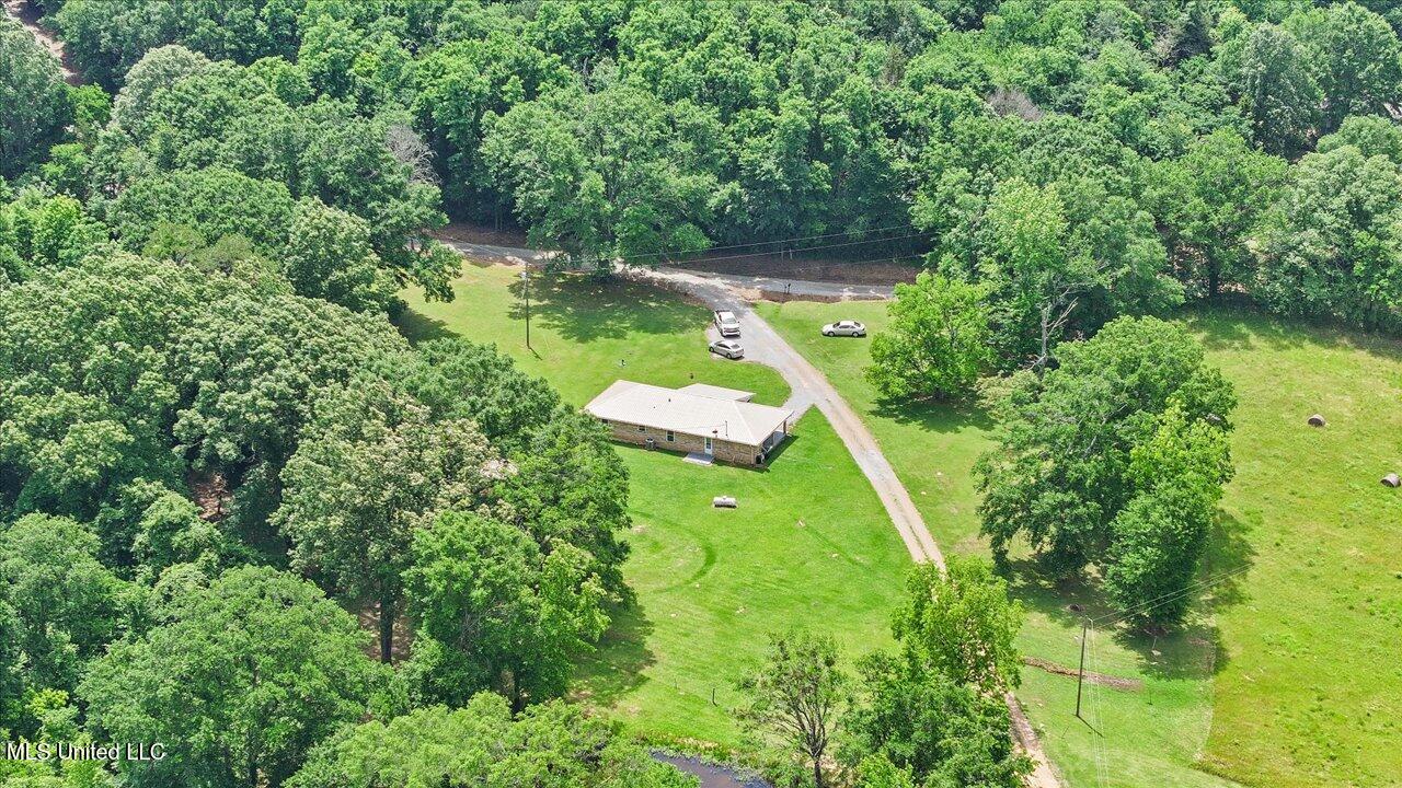 869 B Parks Road, Pickens, Mississippi image 15