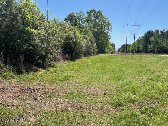 Matthews, Tylertown, Mississippi image 15