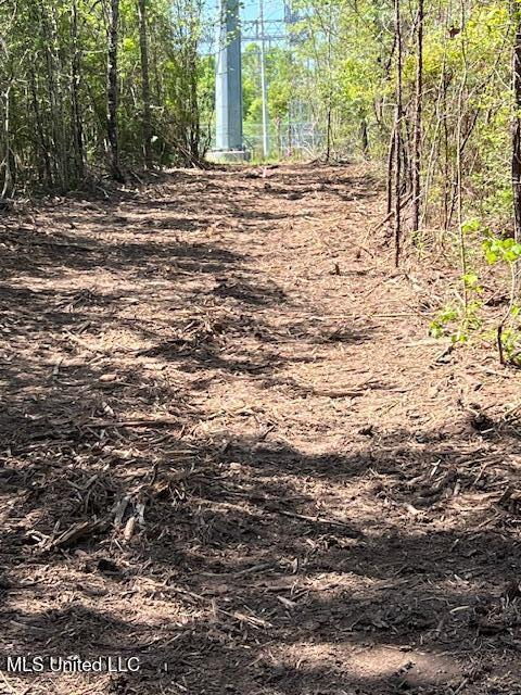 Matthews, Tylertown, Mississippi image 13