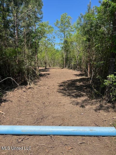 Matthews, Tylertown, Mississippi image 18