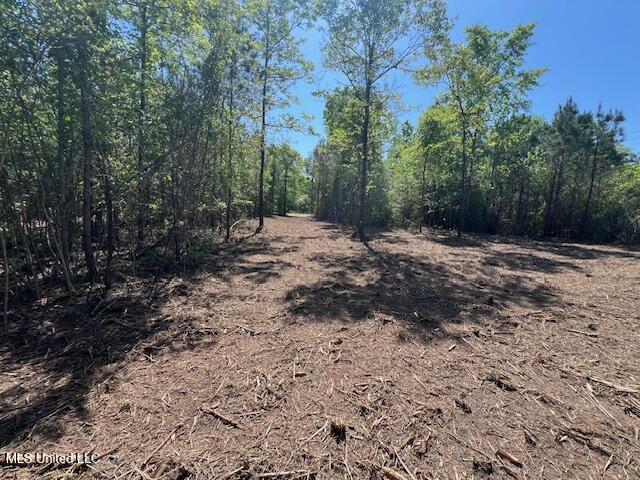 Matthews, Tylertown, Mississippi image 5
