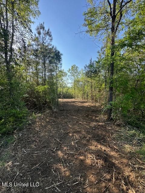 Vacant Land For Sale - Matthews<br/> Tylertown, MS 39667