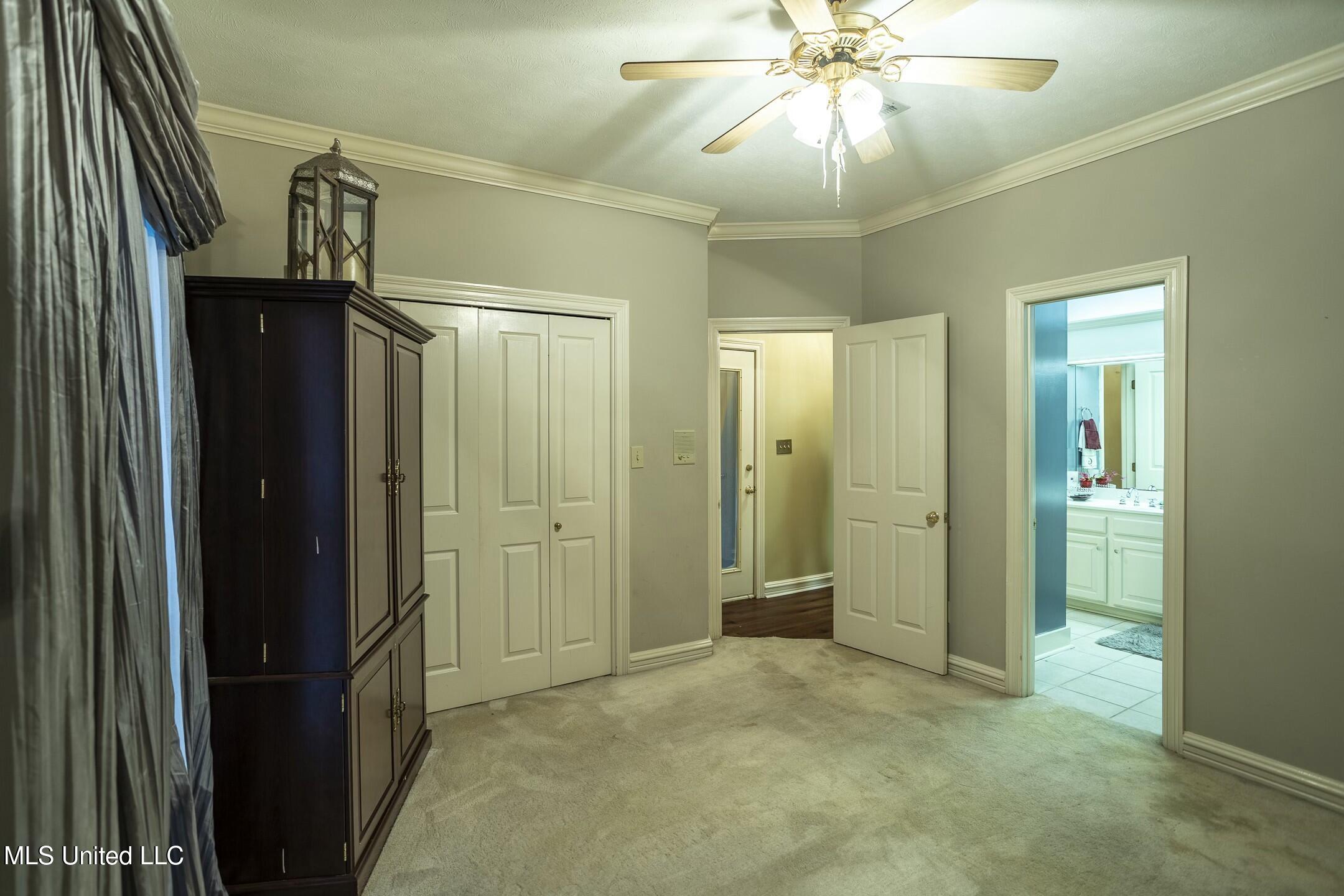 278 Red Eagle Circle, Ridgeland, Mississippi image 12