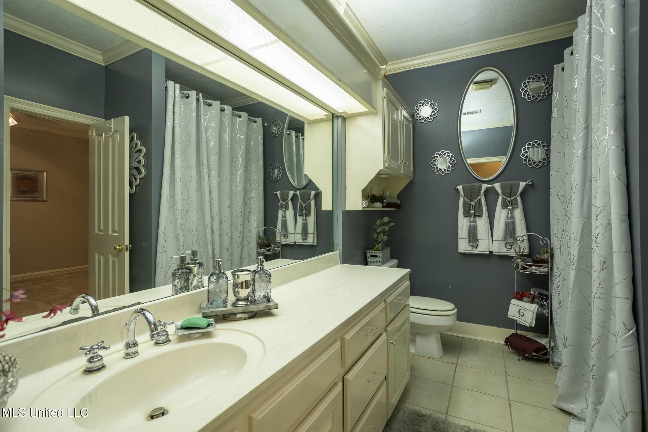 278 Red Eagle Circle, Ridgeland, Mississippi image 13