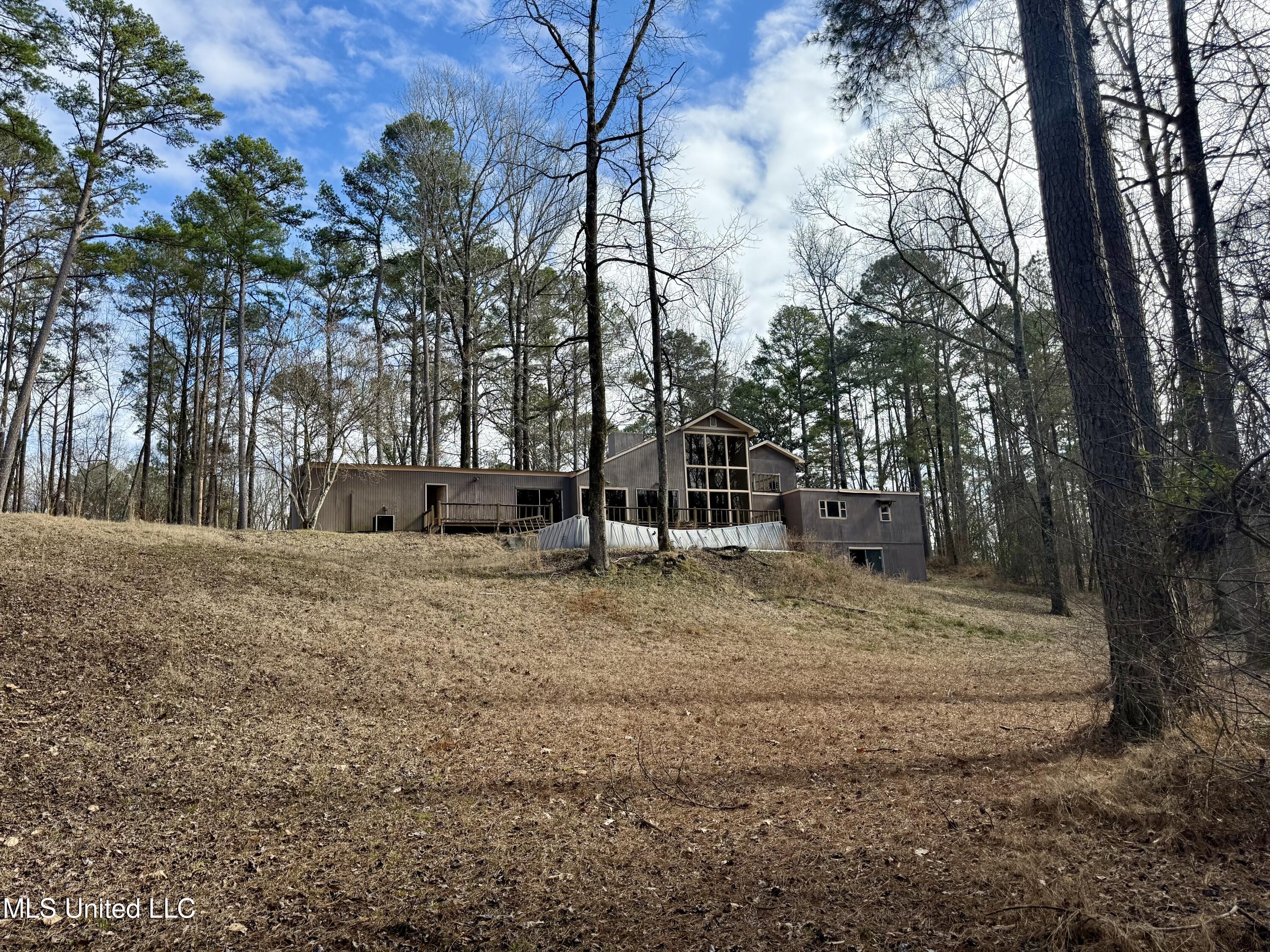 715 Woodland Hills Dr, Lexington, Mississippi image 2