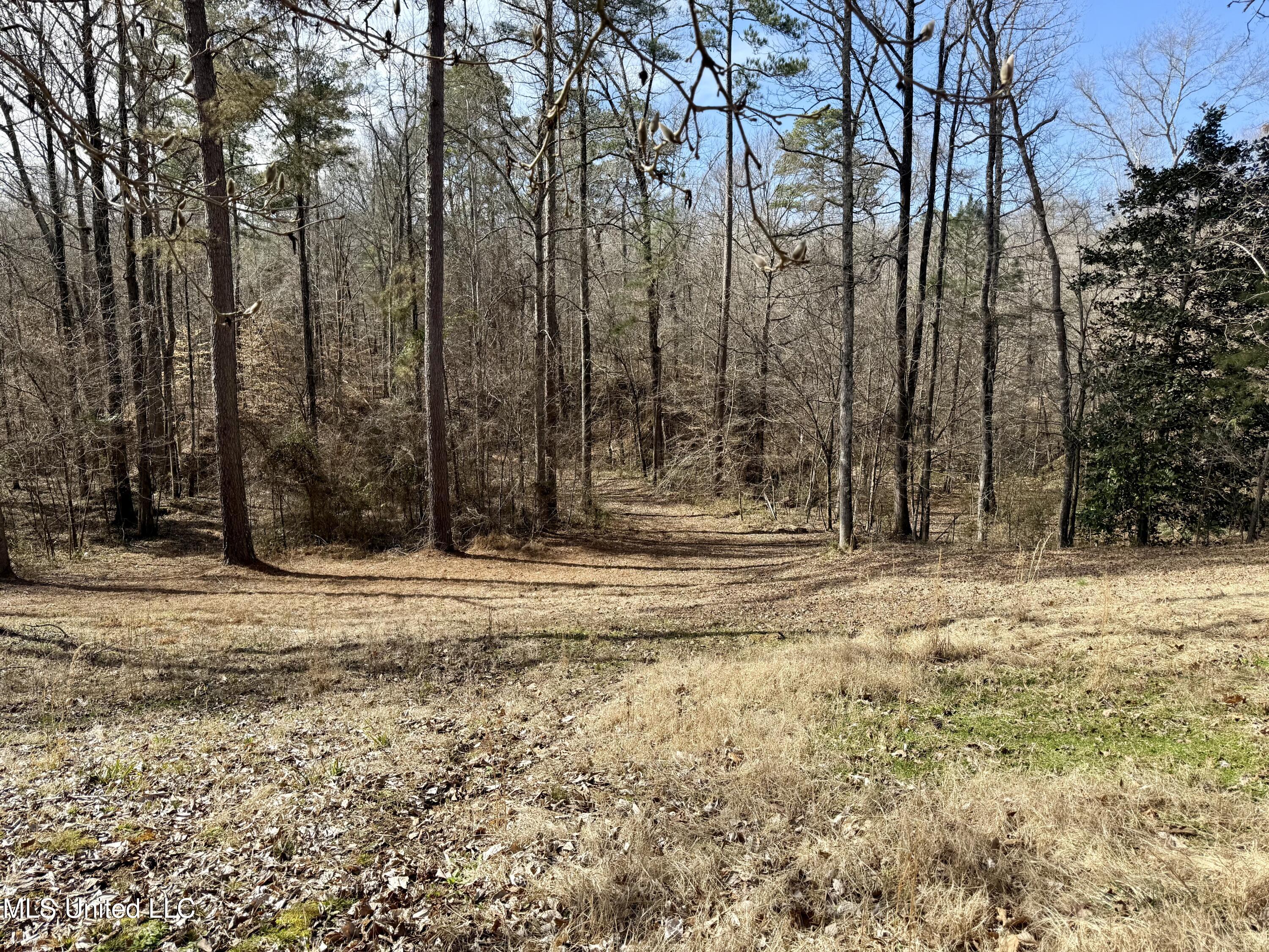 715 Woodland Hills Dr, Lexington, Mississippi image 4