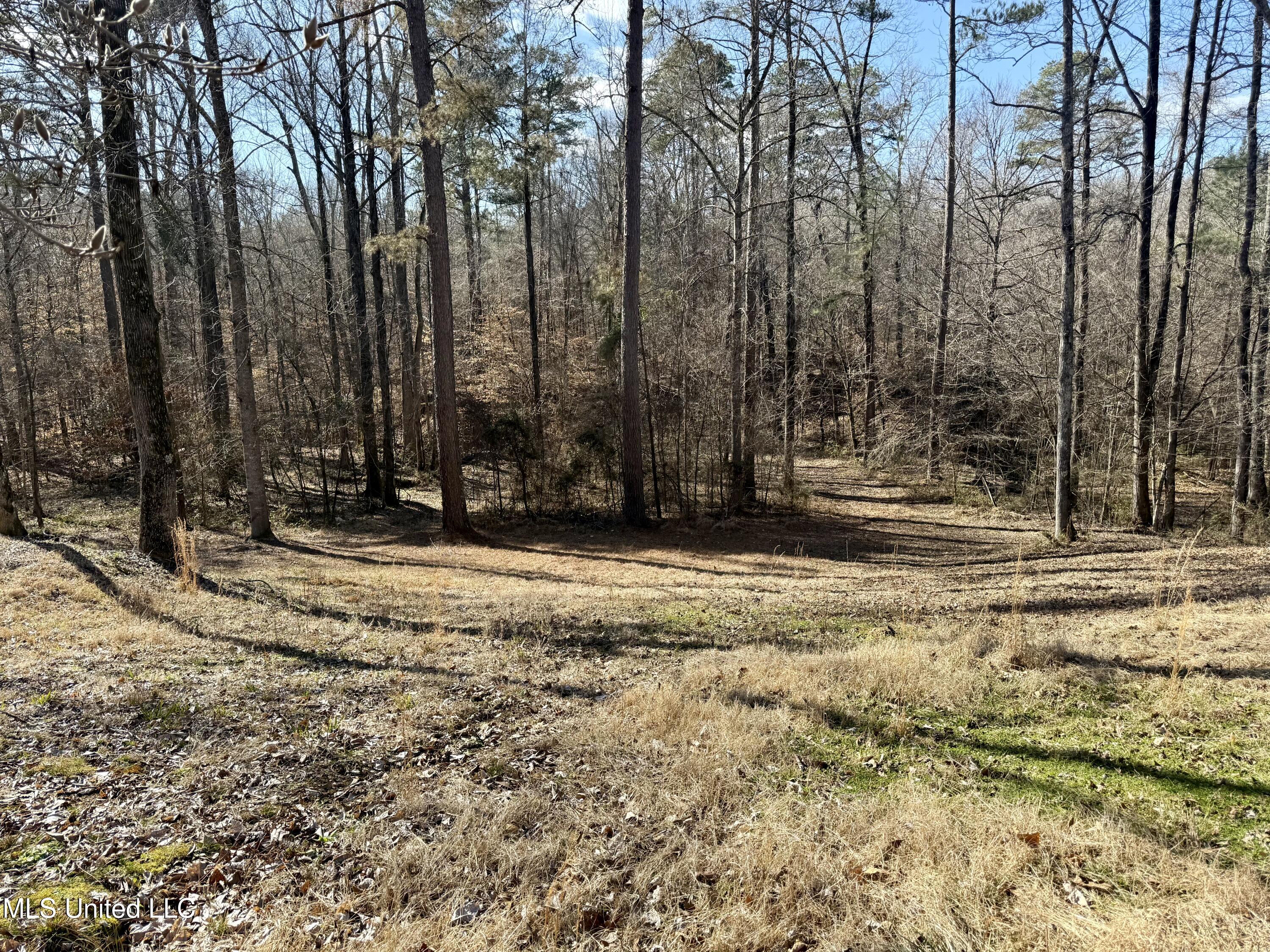 715 Woodland Hills Dr, Lexington, Mississippi image 5