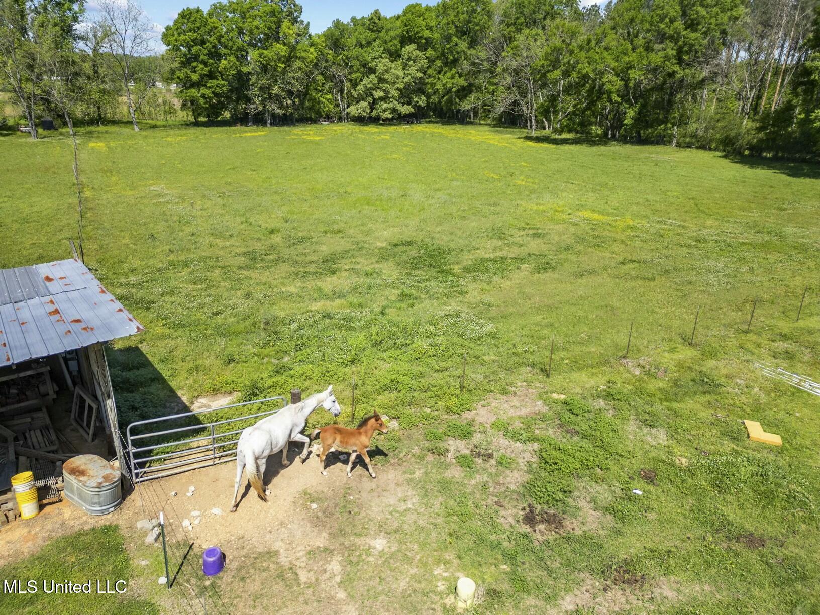 7027 Highway 18, Utica, Mississippi image 10