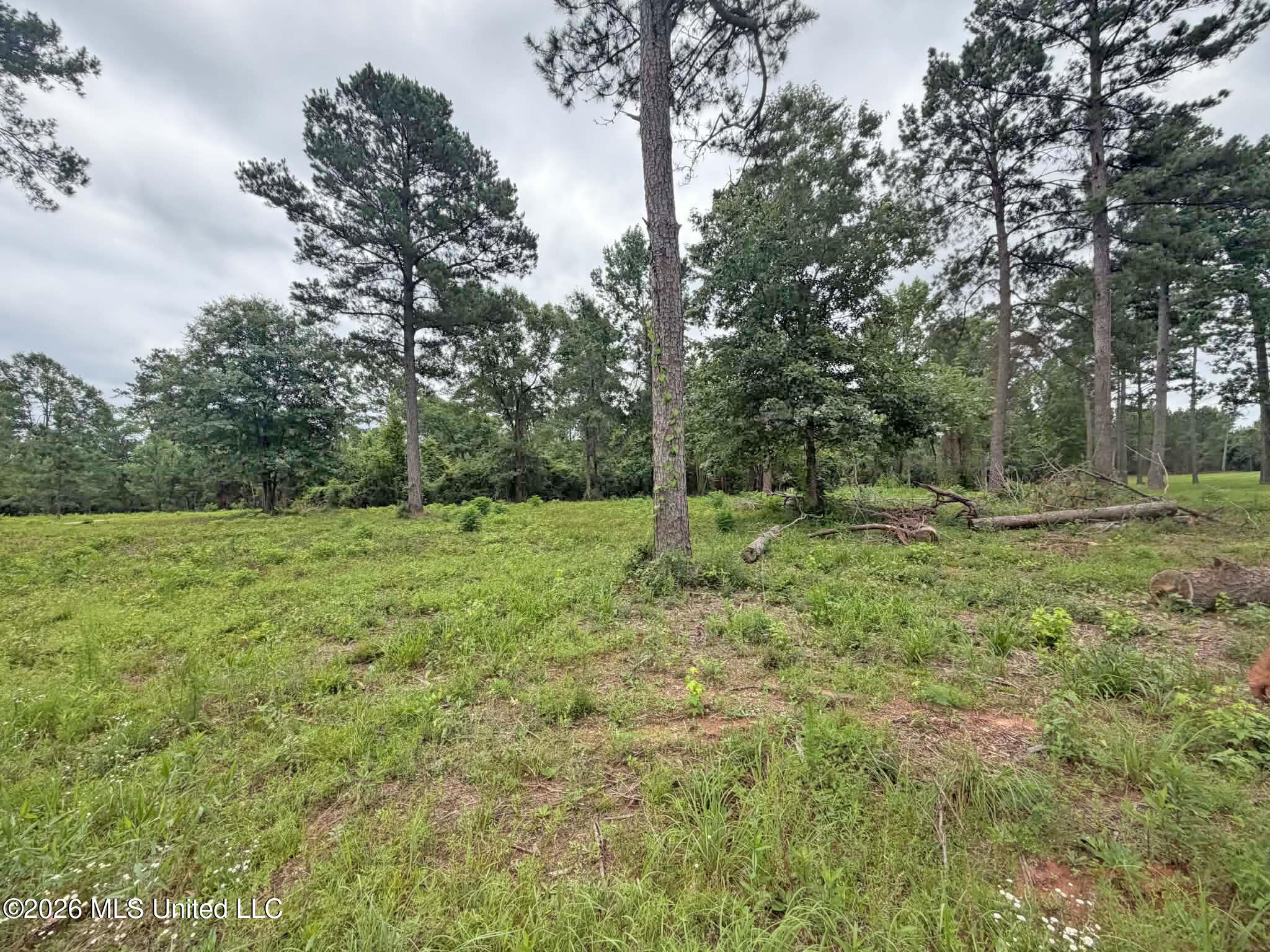 5 Acres N Old 63 N Highway