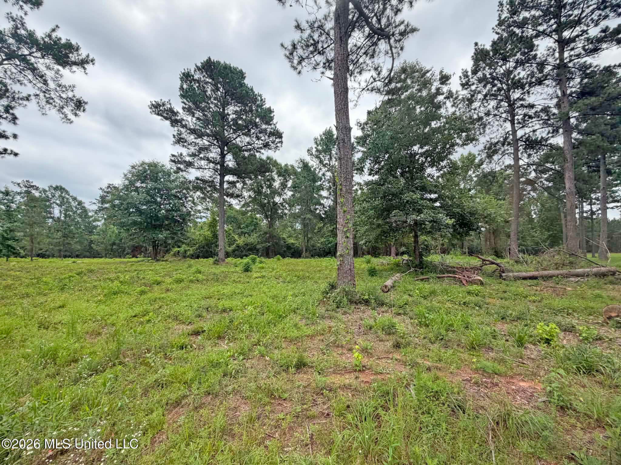 5 Acres N Old 63 N Highway