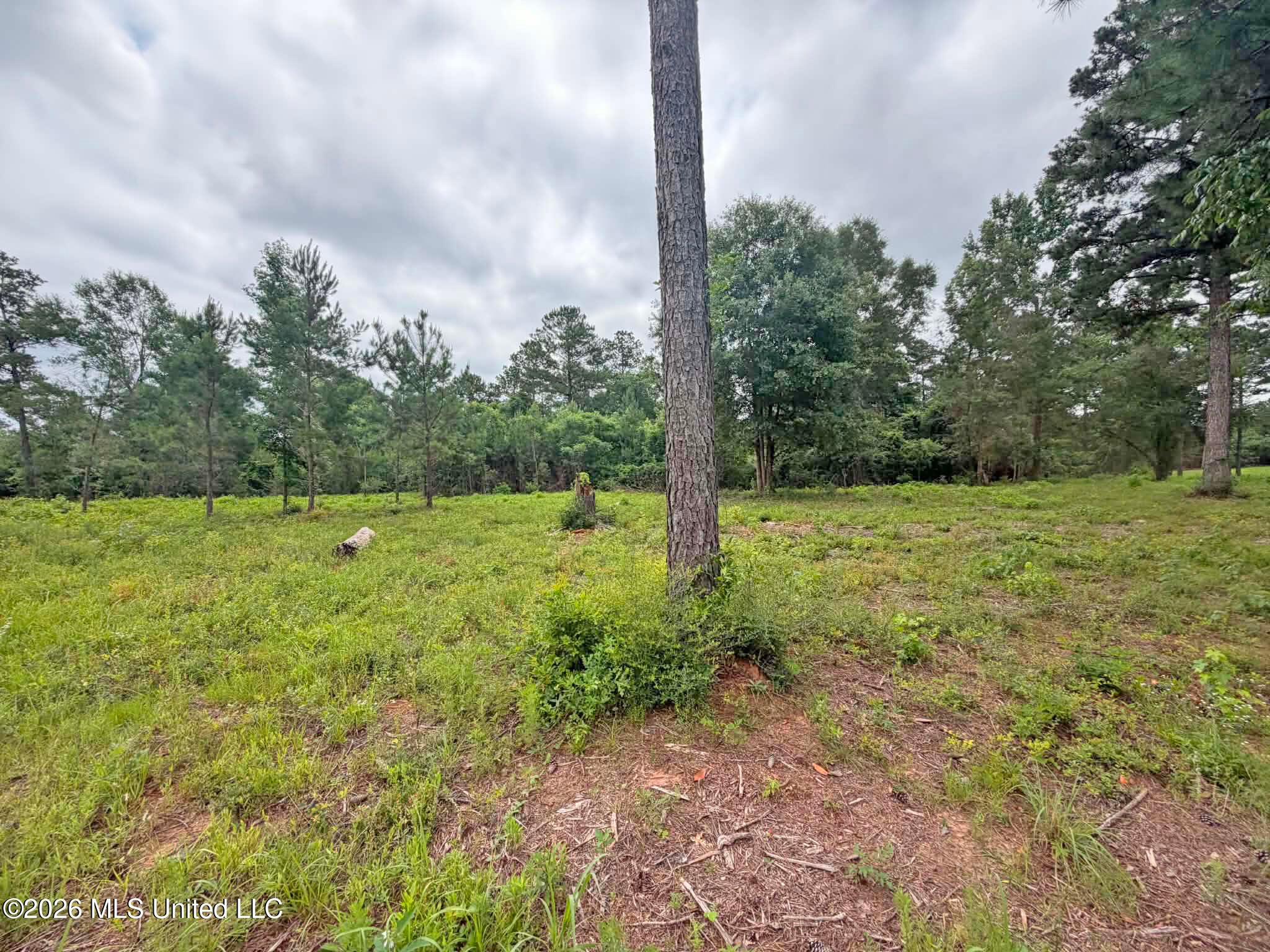 5 Acres N Old 63 N Highway
