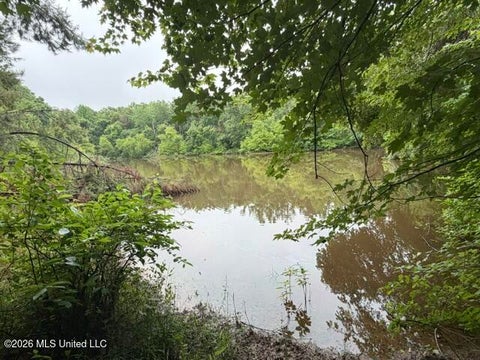 Vacant Land For Sale - Broadway Road<br/> Potts Camp, MS 38659