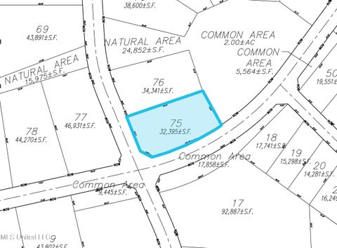 Vacant Land For Sale - Lot 75 Les Maisons<br/> Flowood, MS 39232