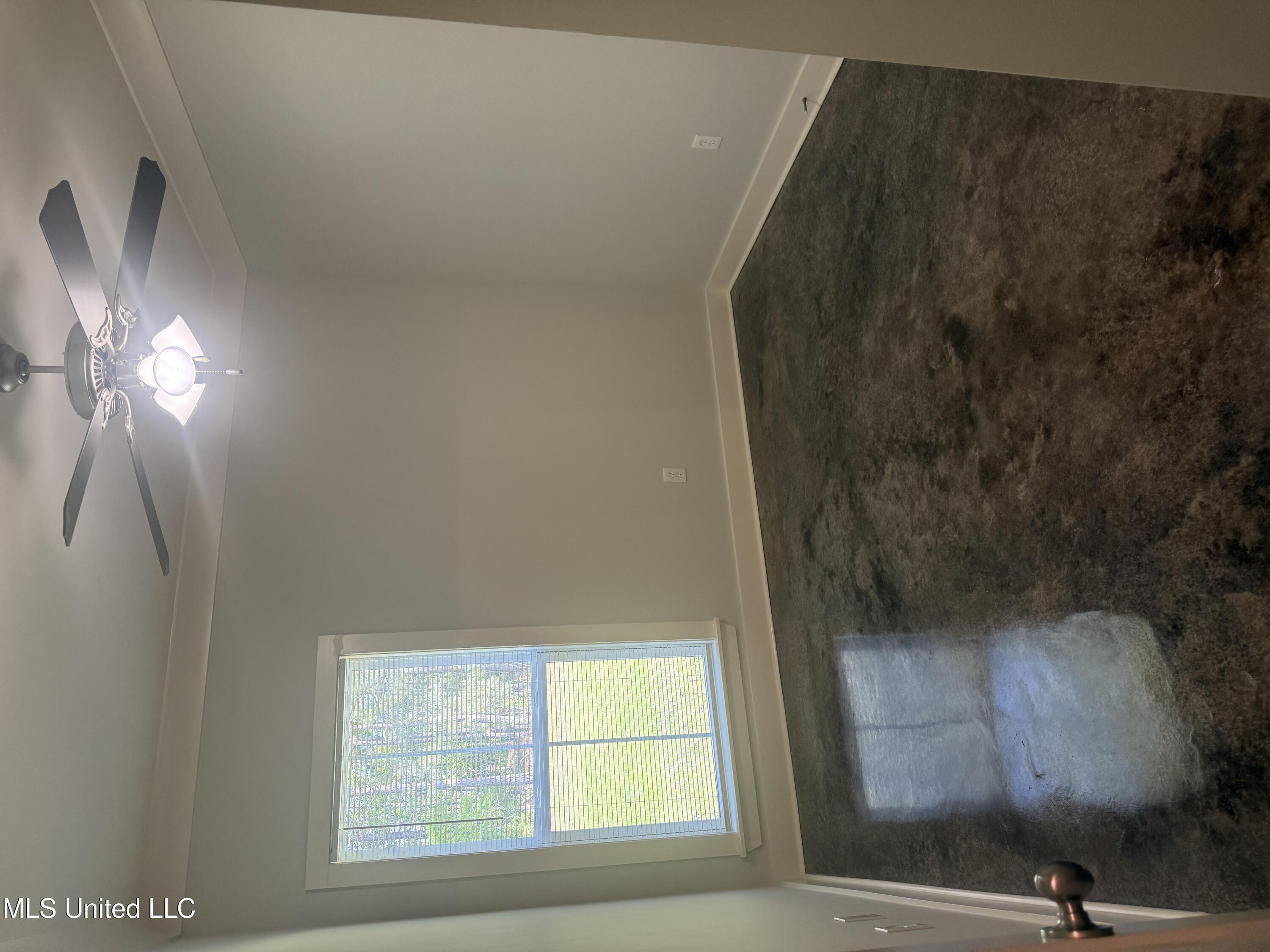 257 Ironwood Place, Brandon, Mississippi image 19
