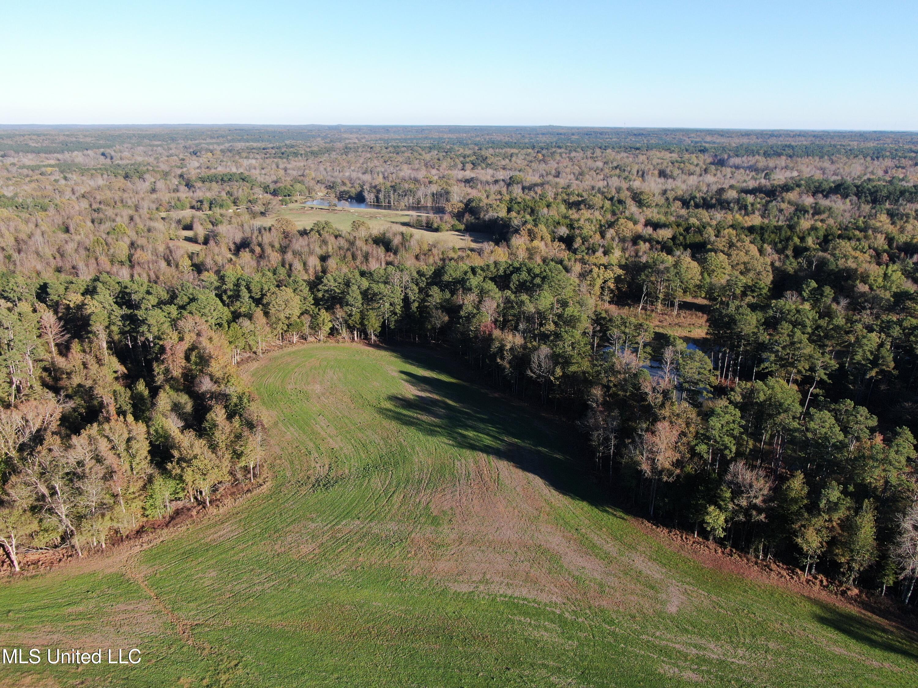 1600 Chulahoma Road, Holly Springs, Mississippi image 1