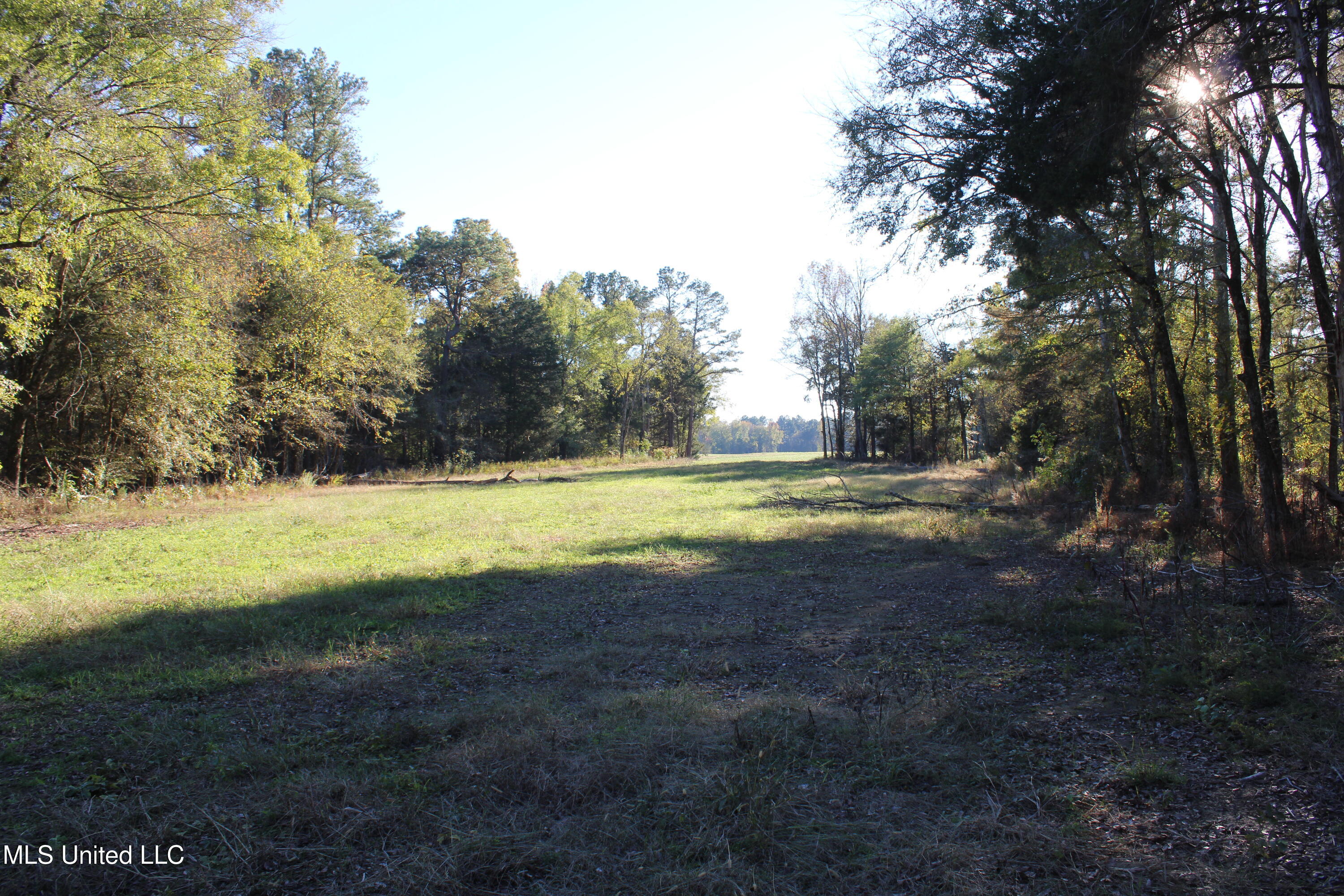 1600 Chulahoma Road, Holly Springs, Mississippi image 27