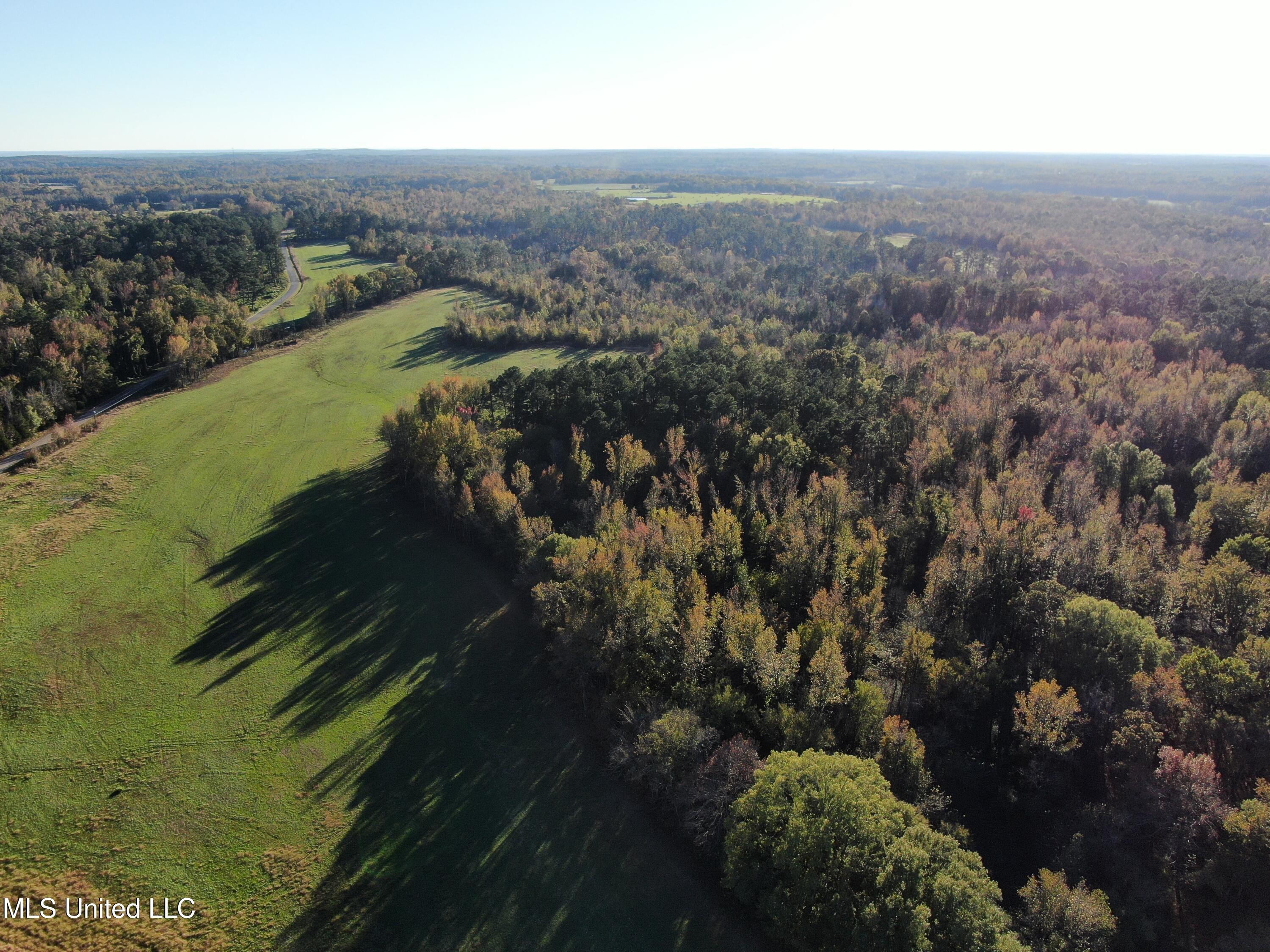 1600 Chulahoma Road, Holly Springs, Mississippi image 9