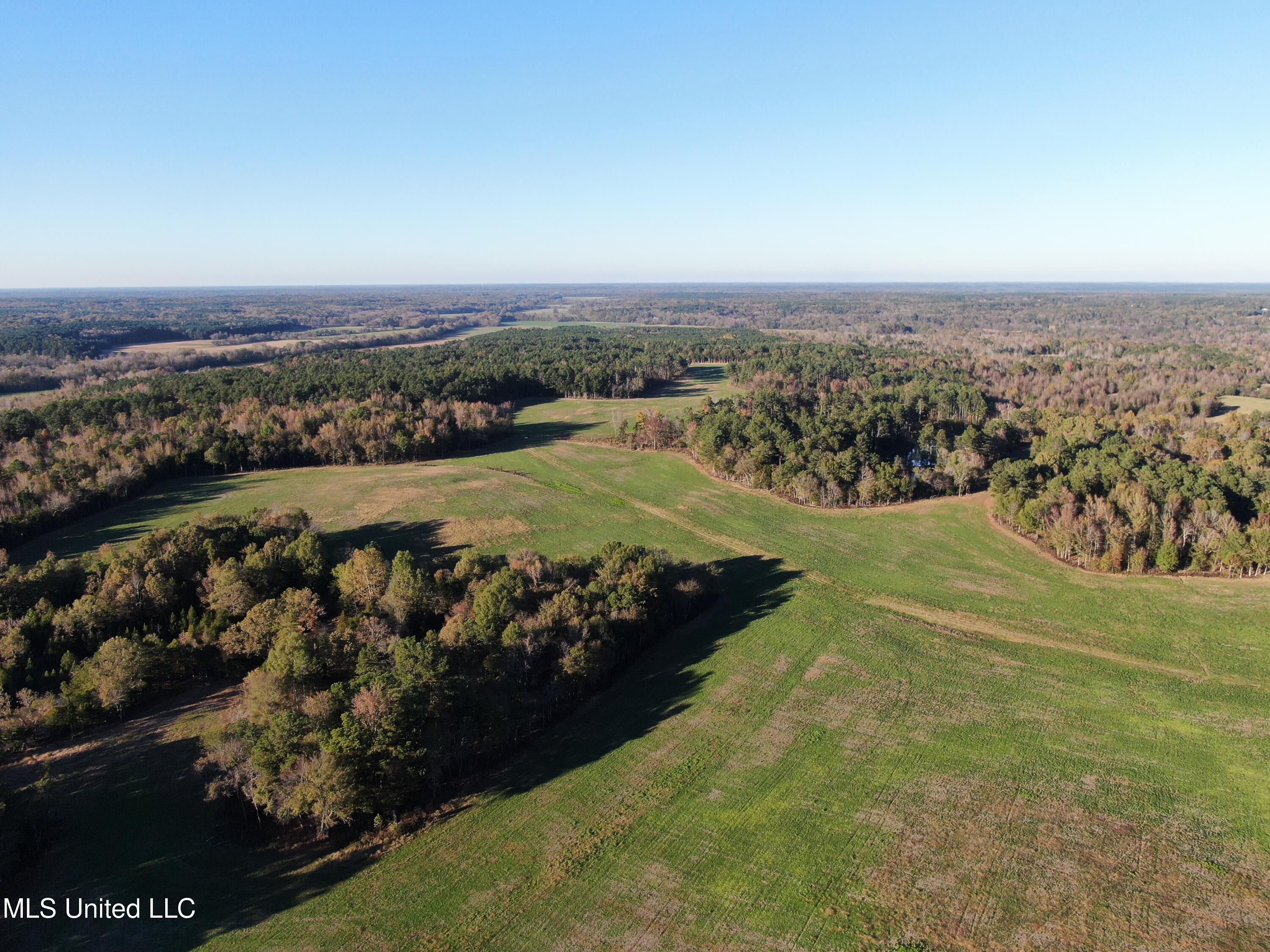 1600 Chulahoma Road, Holly Springs, Mississippi image 13