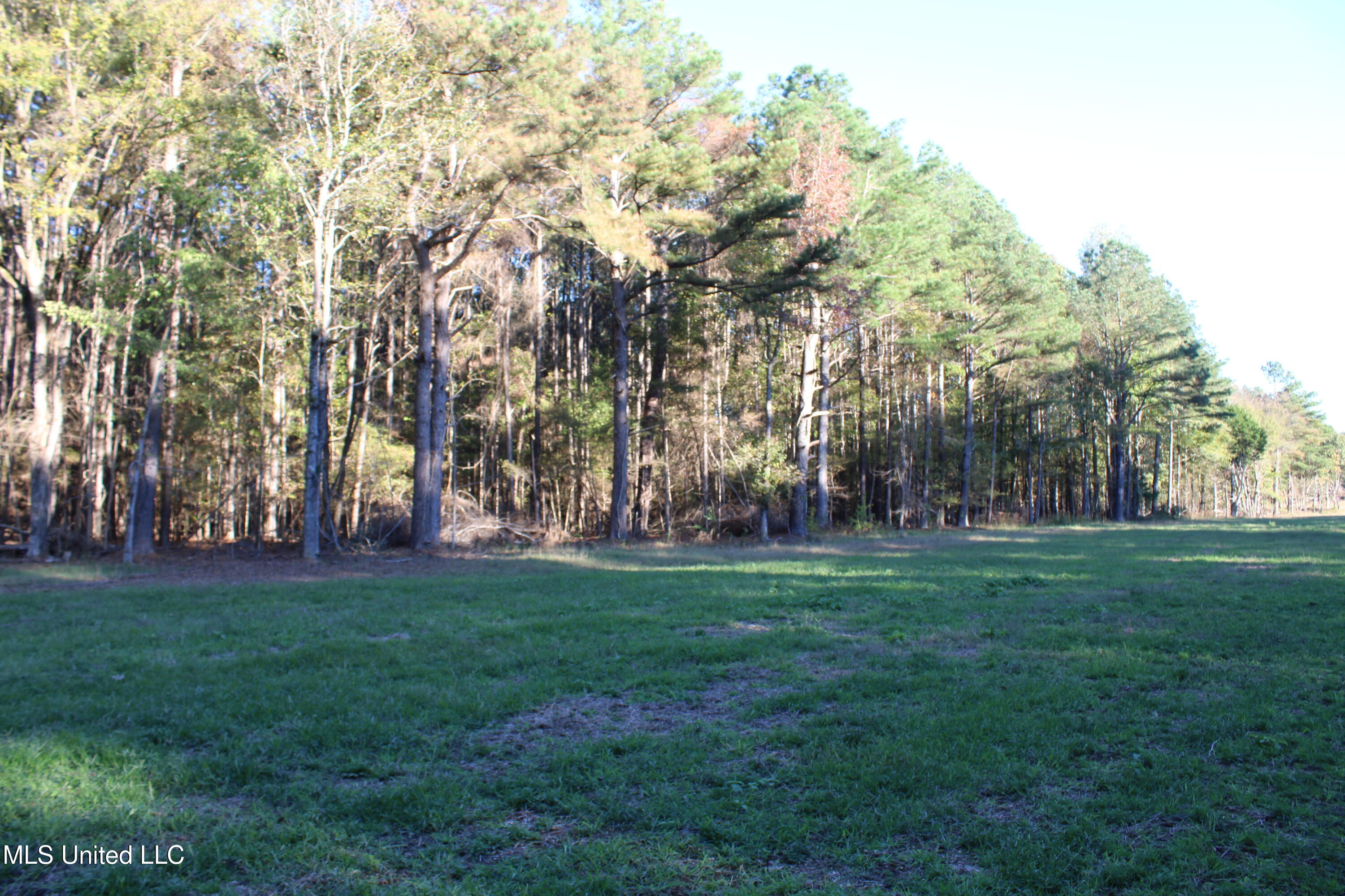 1600 Chulahoma Road, Holly Springs, Mississippi image 36