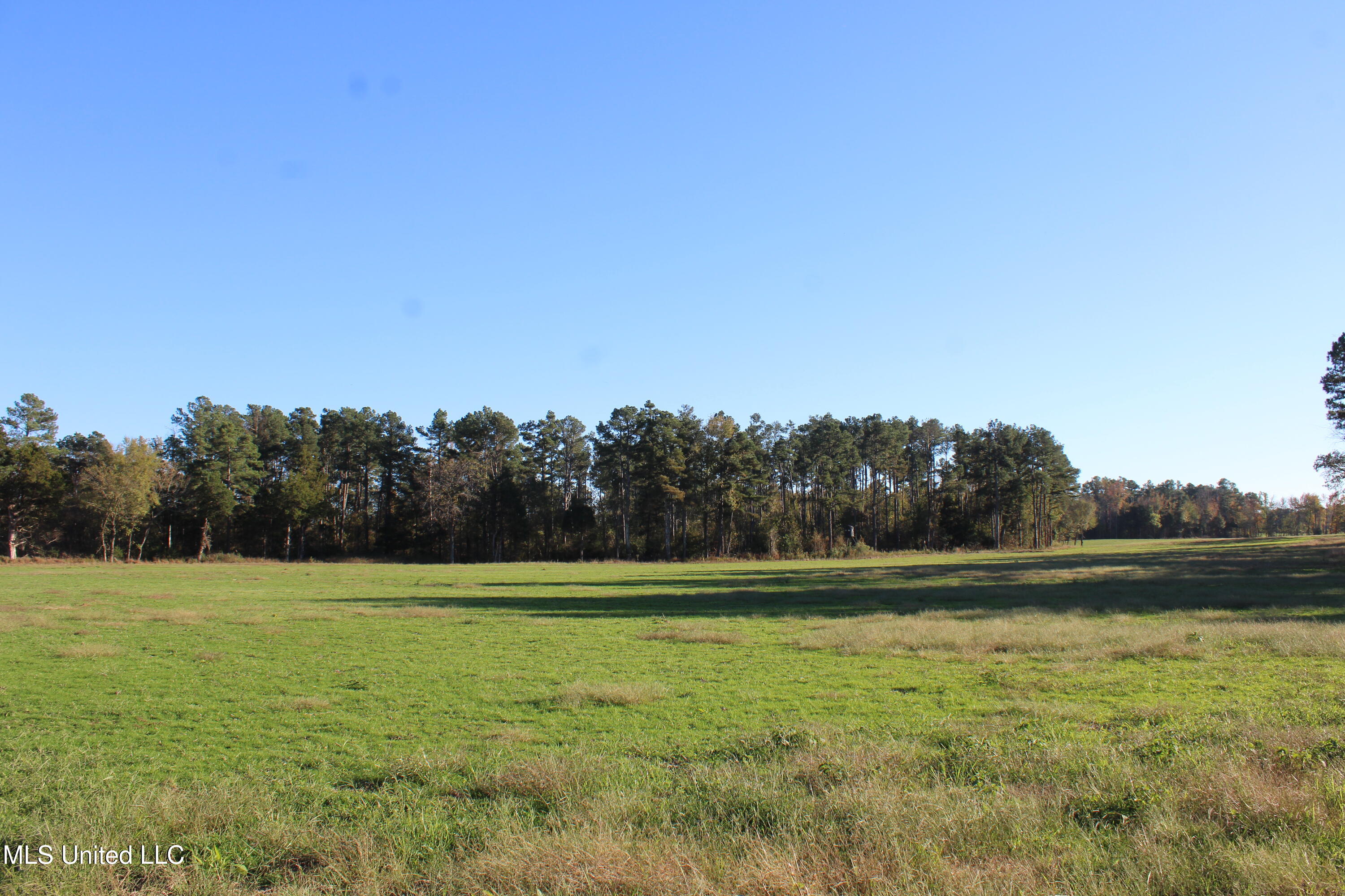 1600 Chulahoma Road, Holly Springs, Mississippi image 34