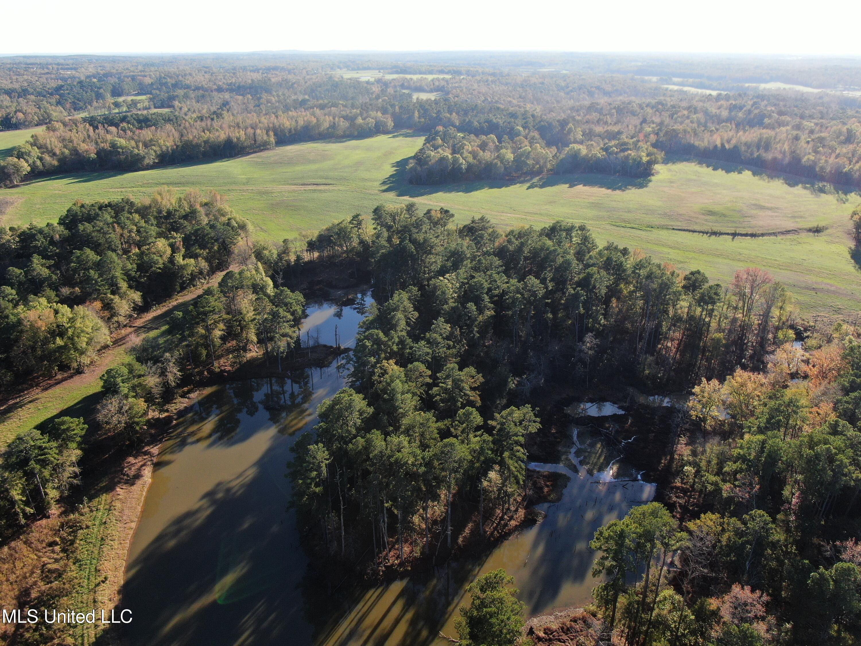 1600 Chulahoma Road, Holly Springs, Mississippi image 5